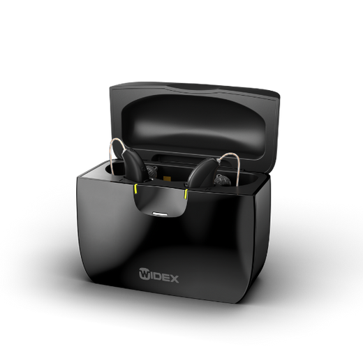 Image 39176734081317 Widex MOMENT charge 'n clean sRIC