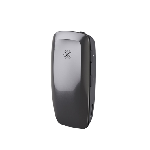 Resound Multi Mic+