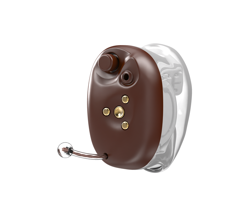 Starkey Signature 24 CIC R NW